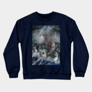 The evil black fox: Shitunpe Crewneck Sweatshirt